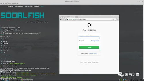 2024版最新最佳黑客工具大全 非常詳細(xì) 零基礎(chǔ)入門到精通,收藏這一篇就夠了